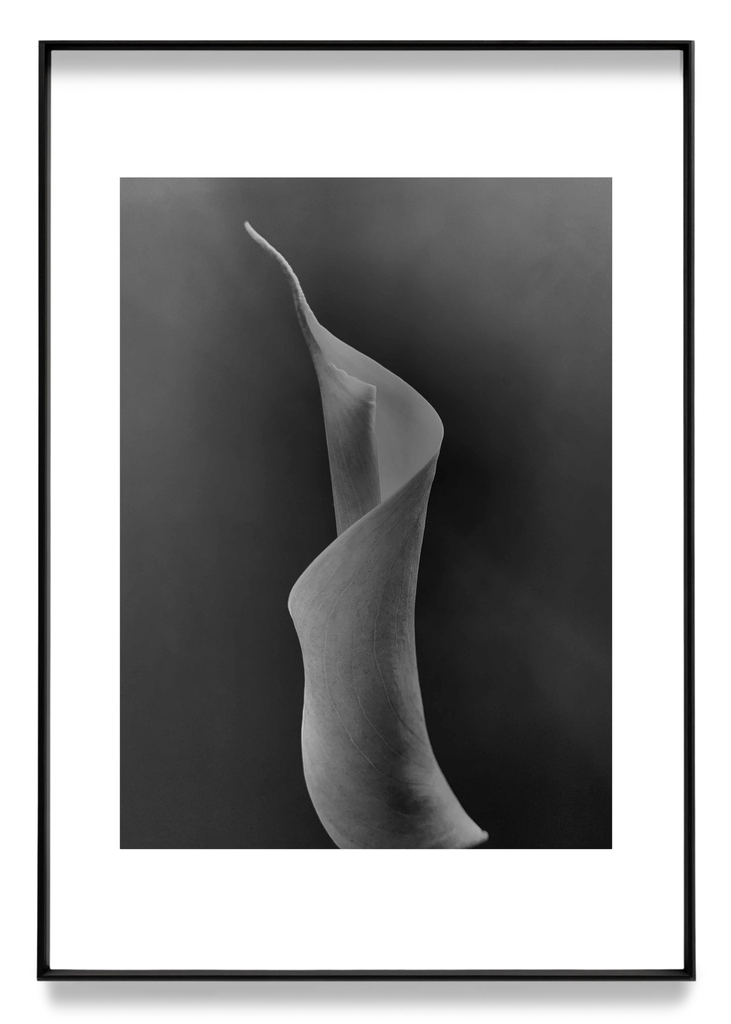 Spiral 2, 2025